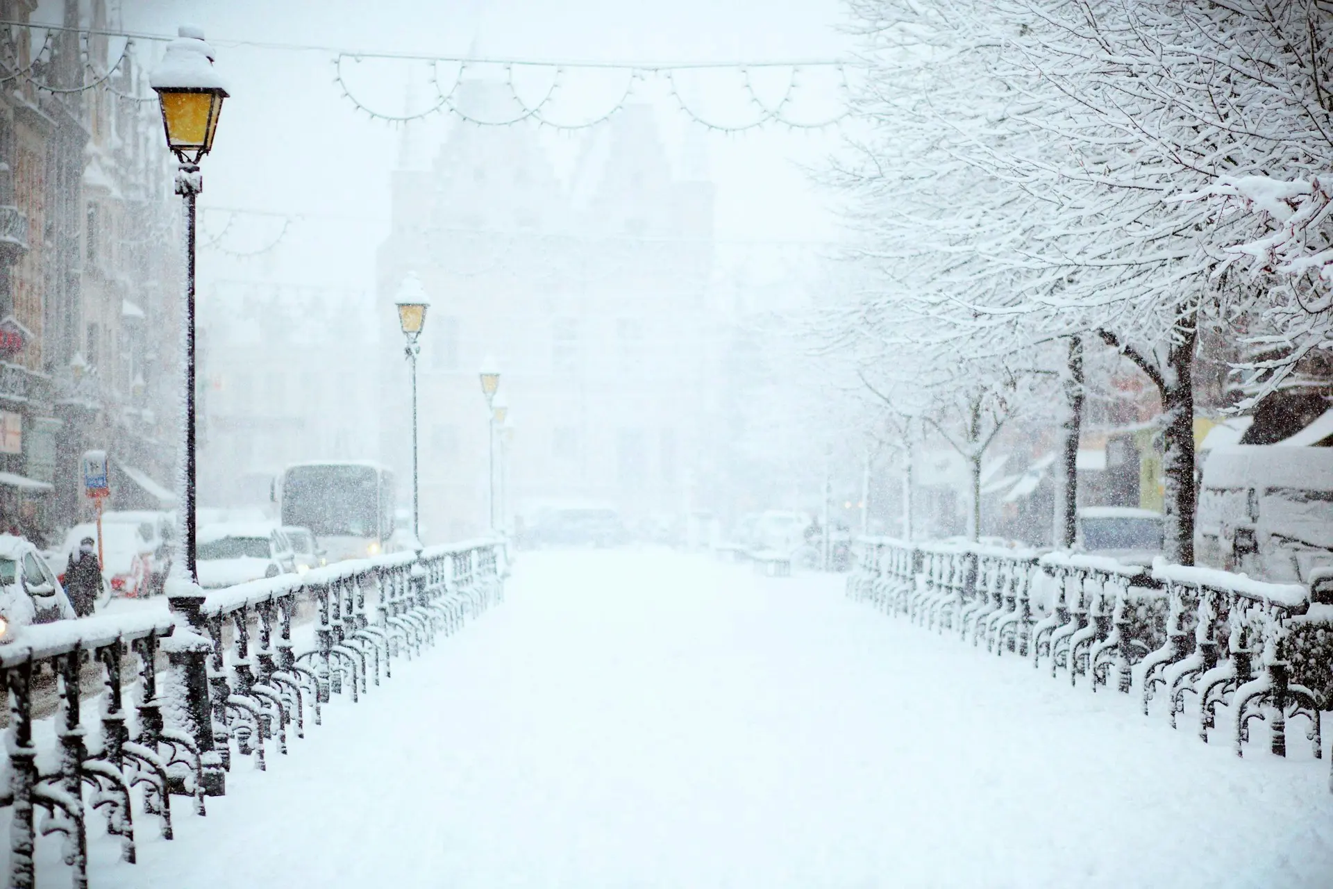 Eine bon Schnee bedeckte Allee in einer Stadt.