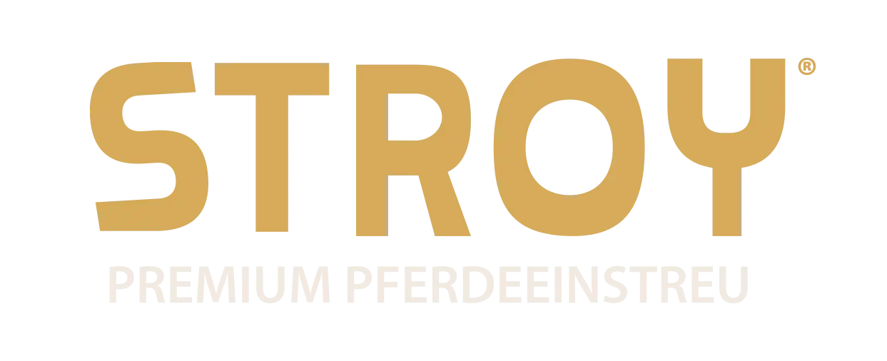 STROY Logo