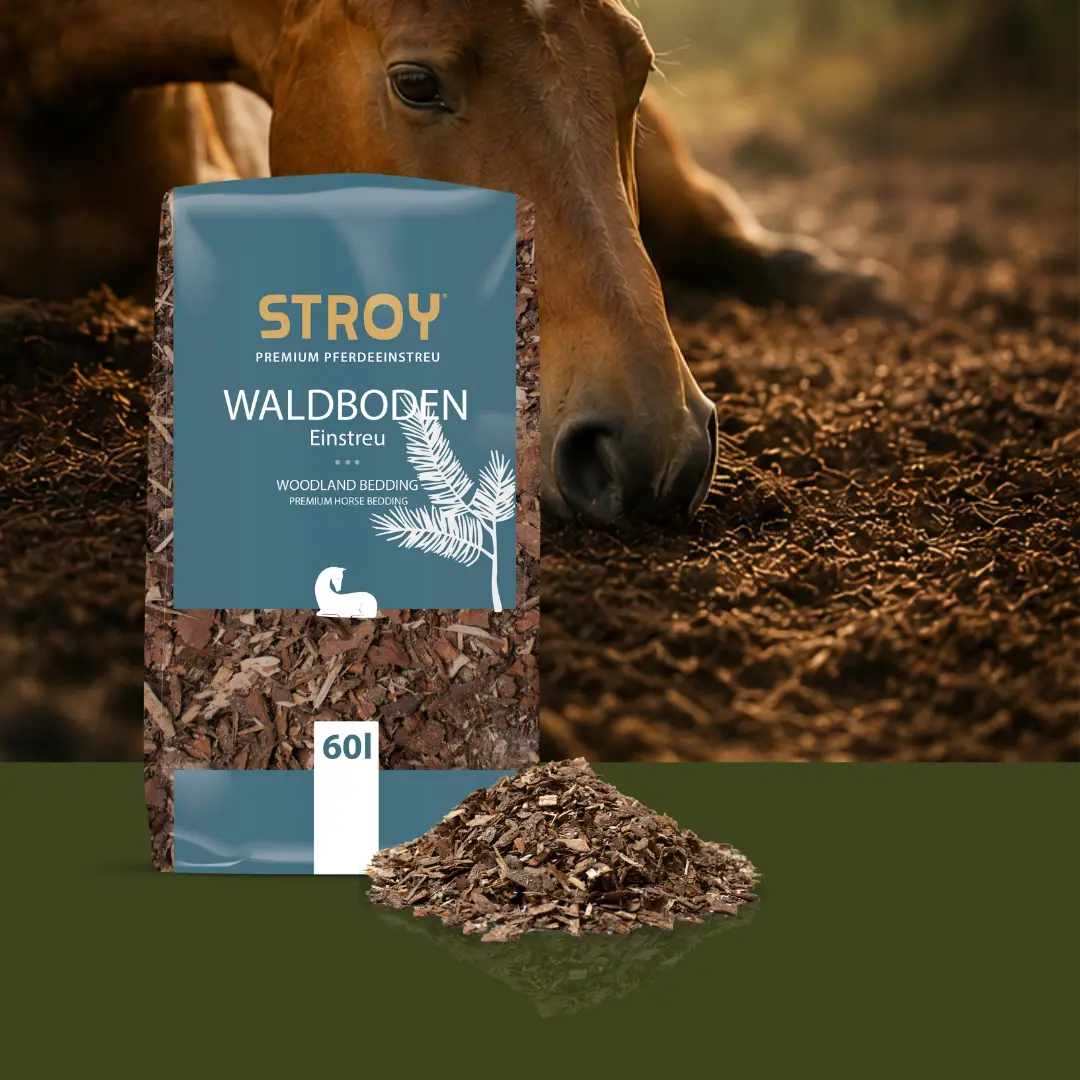 STROY Waldbodeneinstreu