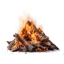 HBU33-Brennholz-Buche-33cm-Ambiente-Feuer.webp