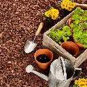 MPA60-Pinienrinde-Fein-Anwendung.webp