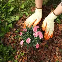 MPA60-Pinienrinde-Fein-Werbebild.webp