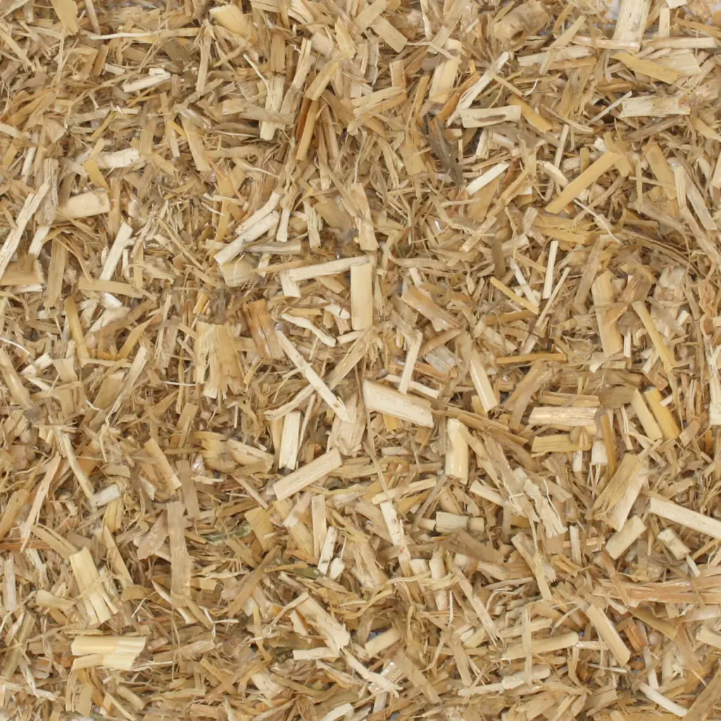 MIS25-miscanthus-haecksel-Textur.webp