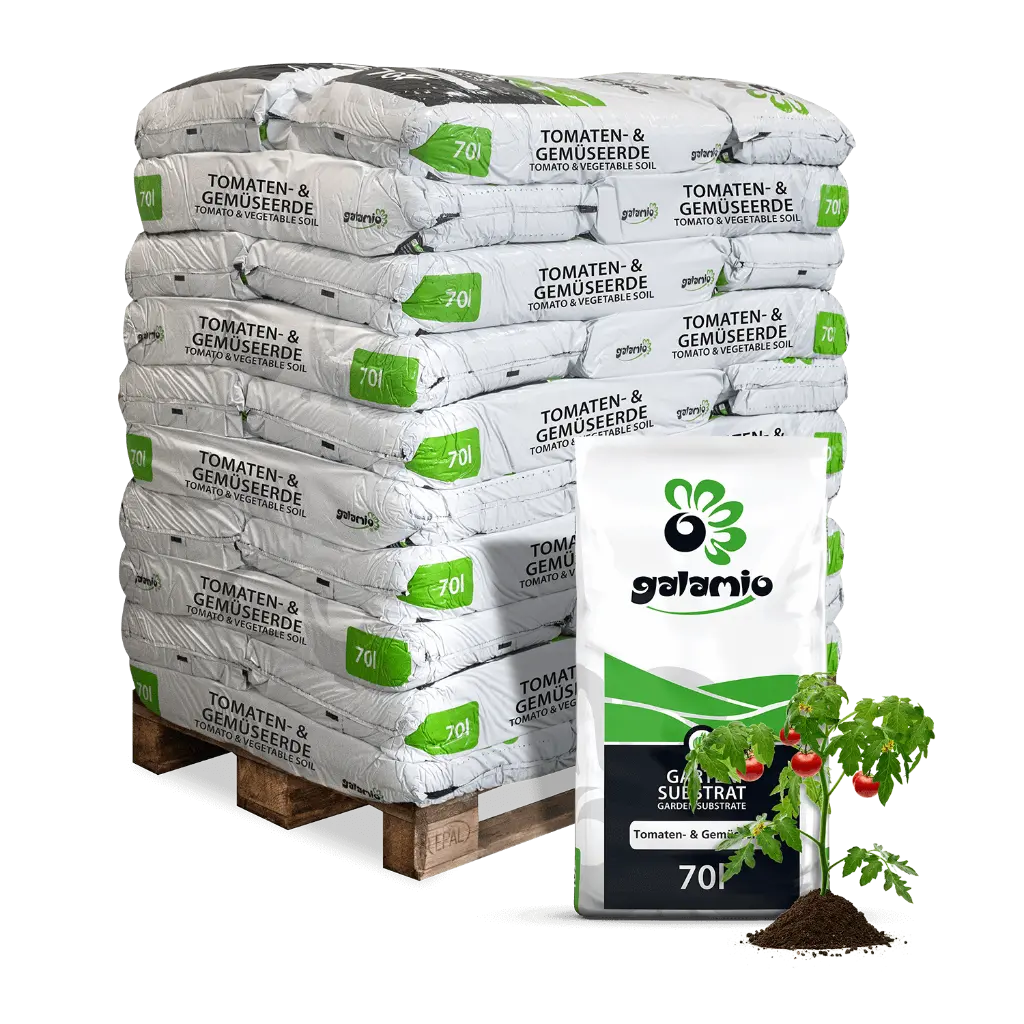 STG70-Tomaten-Gemueseerde-30erPalette-Verpackung.webp