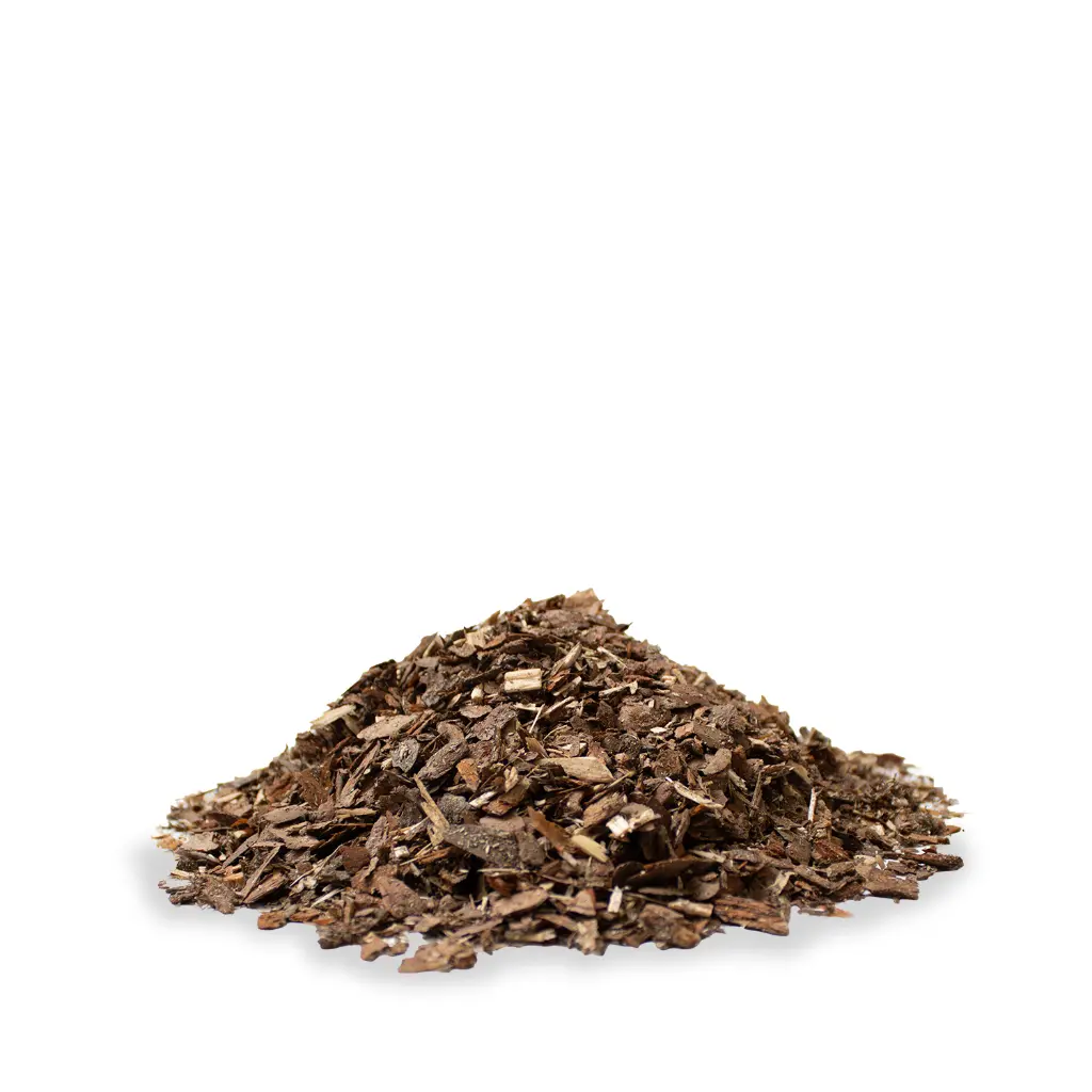 SWE60-Waldboden-Haufen.webp