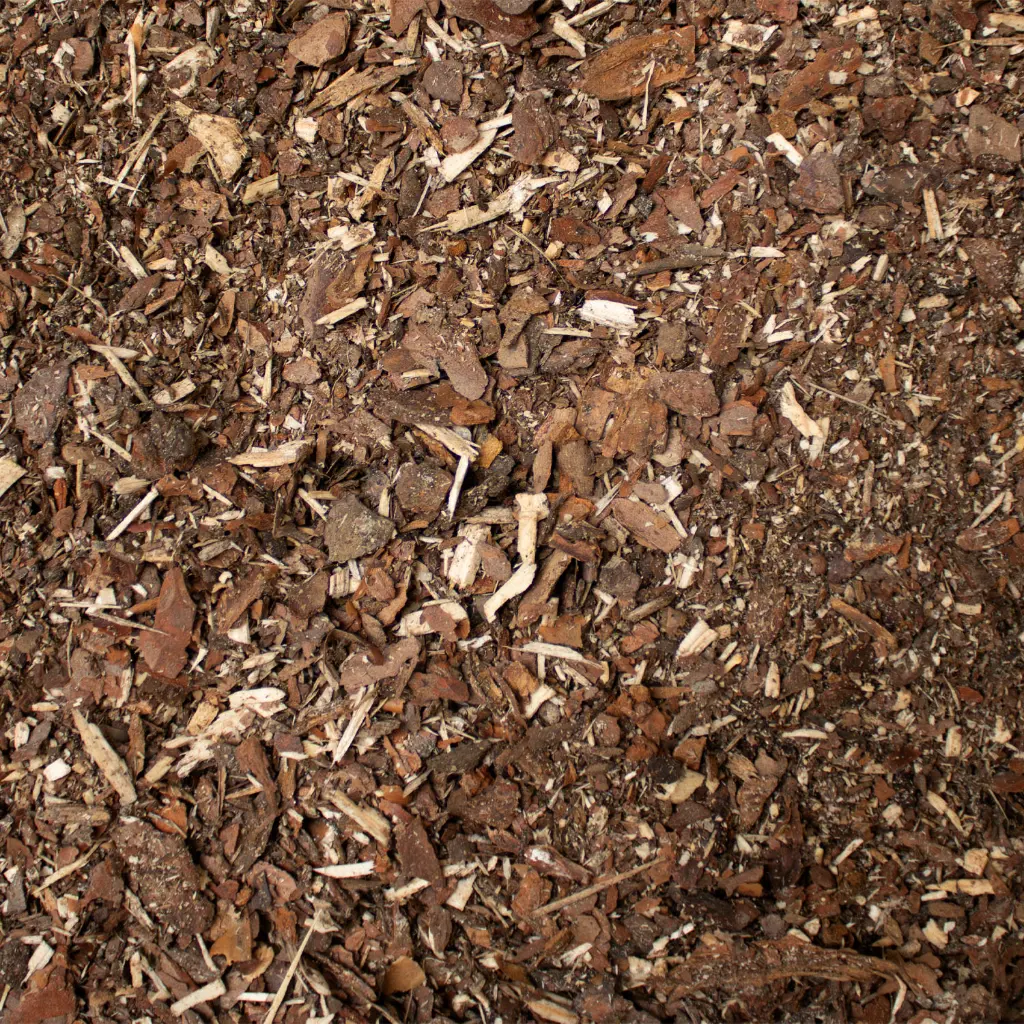 SWE60-Waldboden-Textur.webp