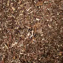 SWE60-Waldboden-Textur.webp